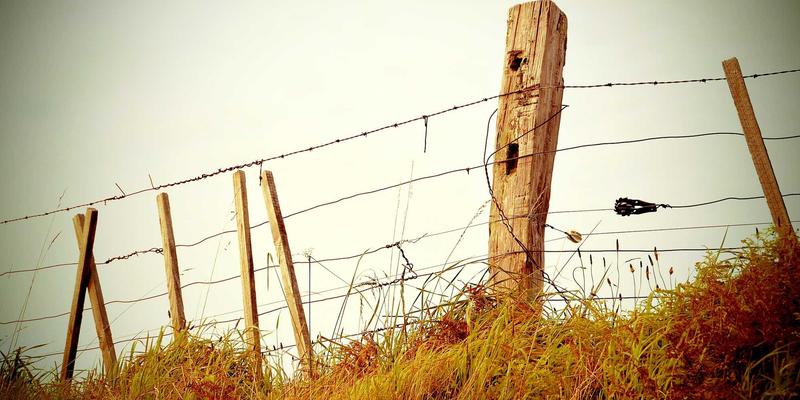 华体会科技全程报道2024中超联赛开幕式及揭幕战精彩瞬间